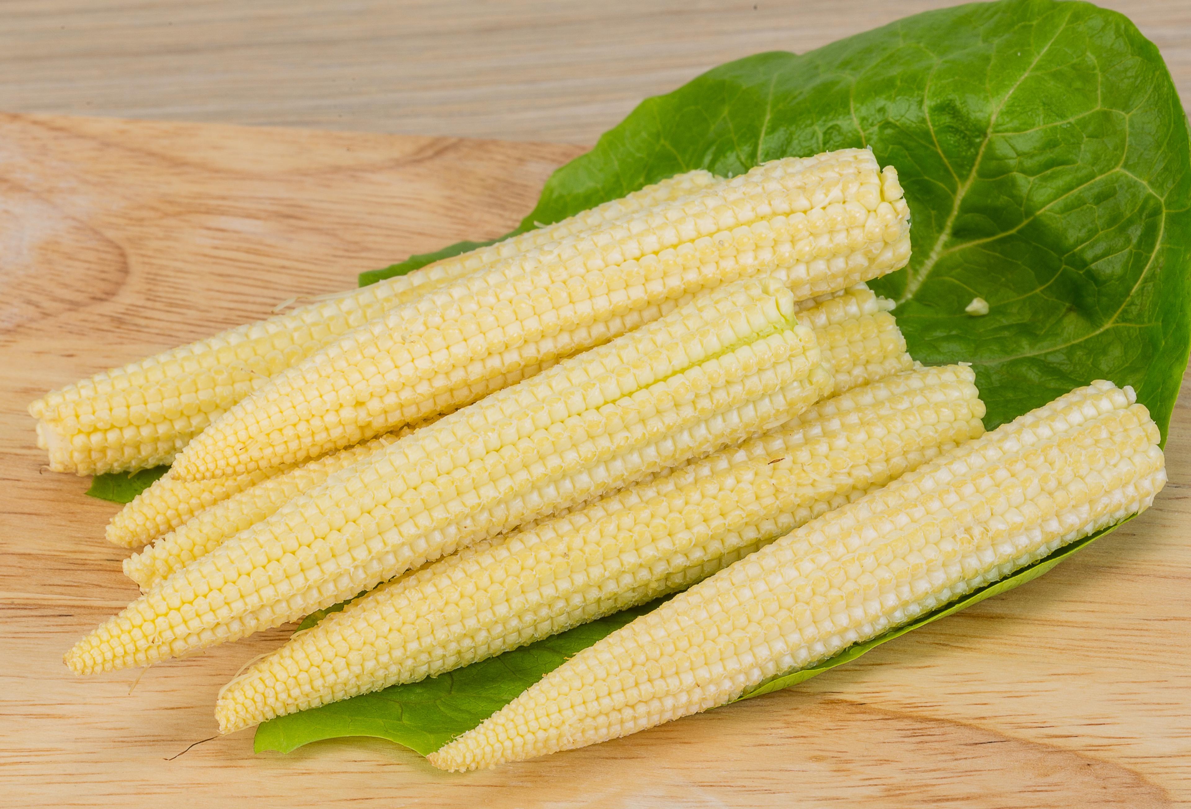 Tender Baby Corn