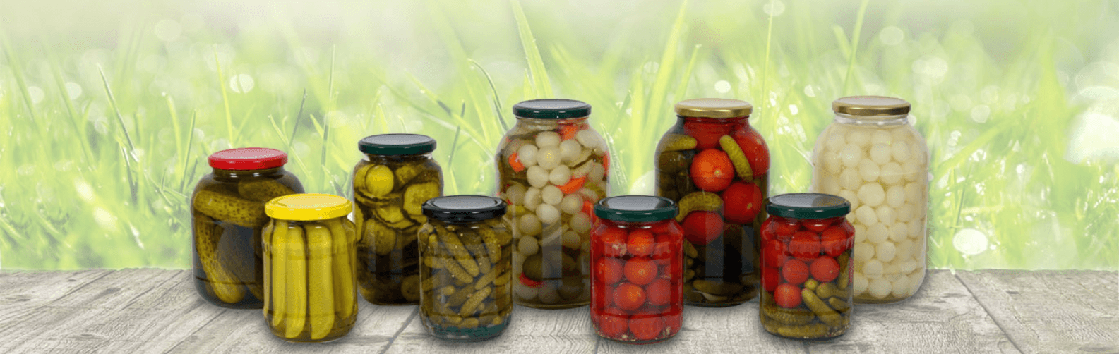 Satvic Foods Products
